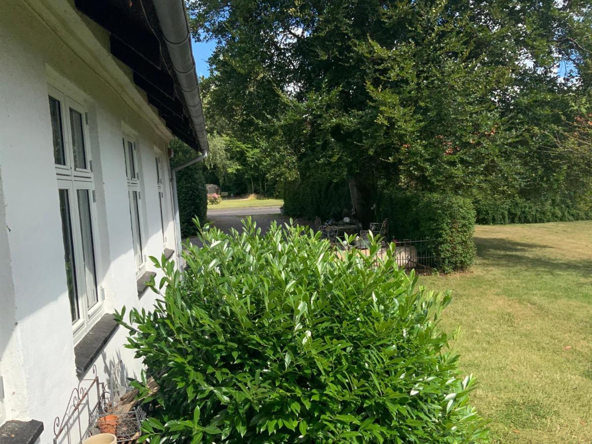 Den Gamle Apotekergaard Bed and Breakfast Hong Exteriör bild